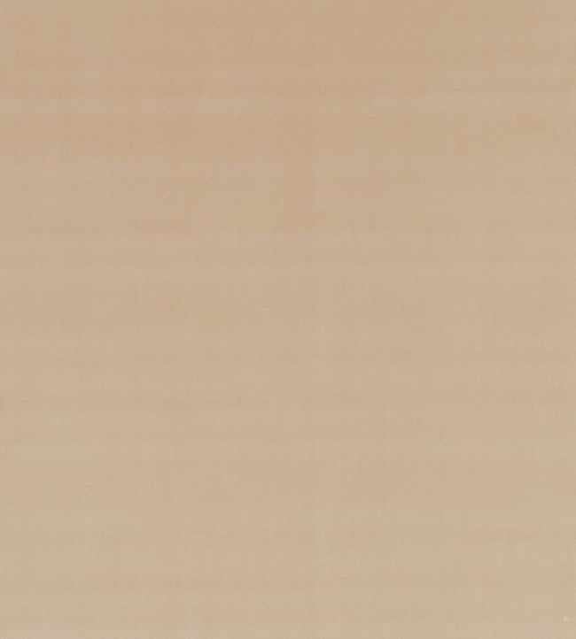 Montpellier Velvet Fabric by Baker Lifestyle Sand
