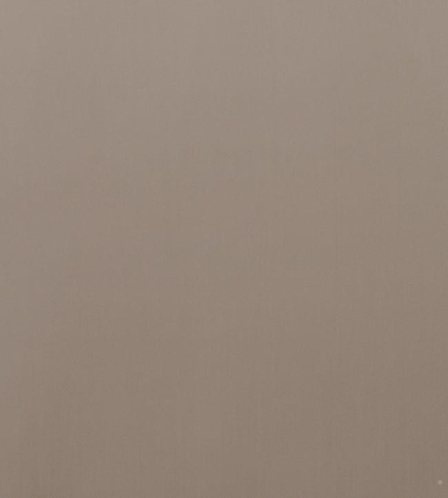 Montpellier Velvet Fabric by Baker Lifestyle Taupe