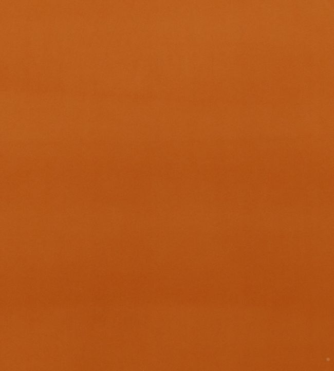 Montpellier Velvet Fabric by Baker Lifestyle Spice