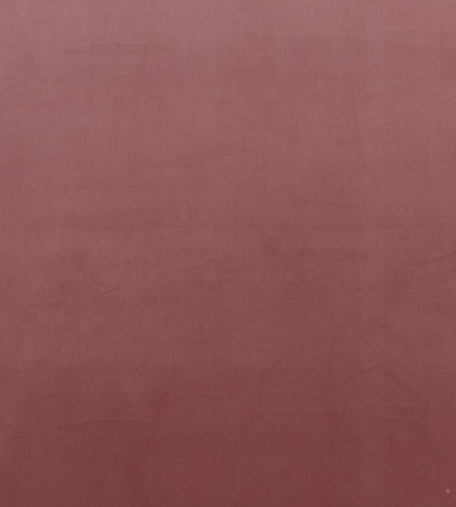 Montpellier Velvet Fabric by Baker Lifestyle Rose