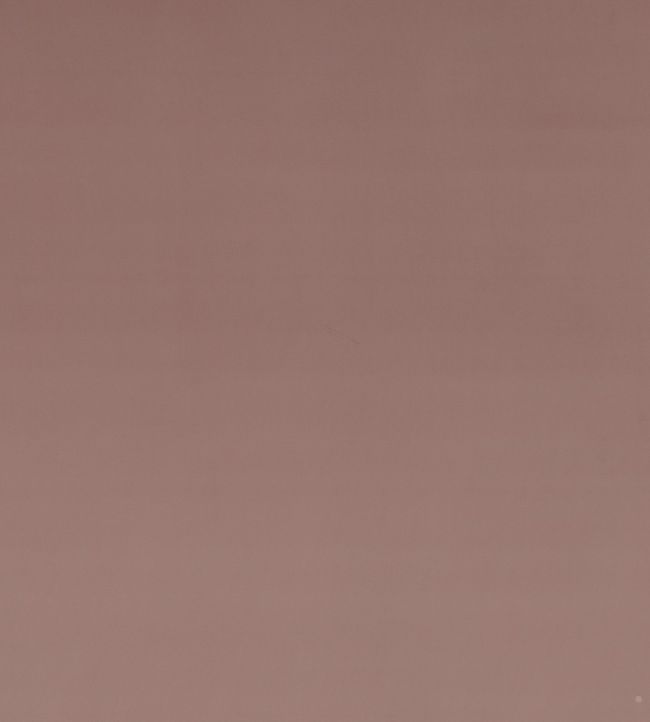 Montpellier Velvet Fabric by Baker Lifestyle Blush