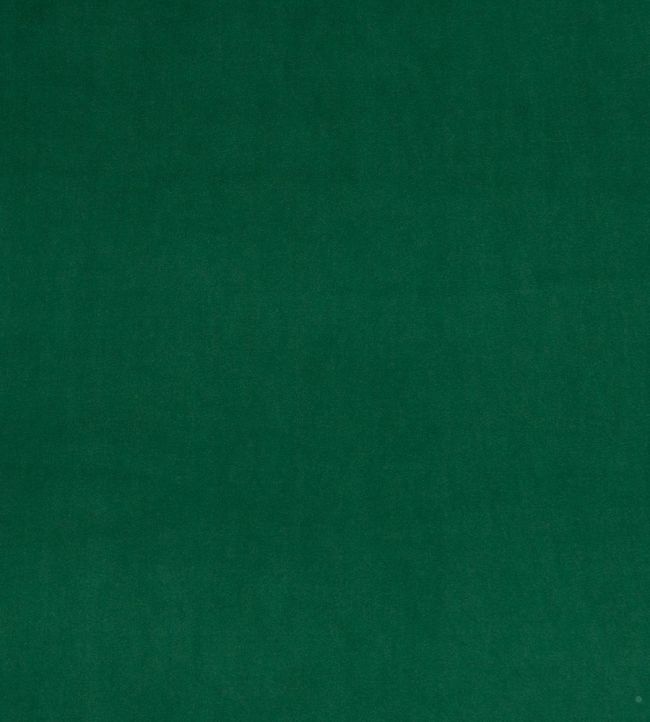 Montpellier Velvet Fabric by Baker Lifestyle Bottle