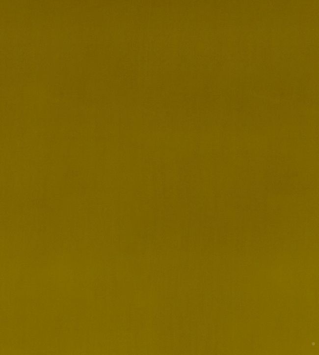 Montpellier Velvet Fabric by Baker Lifestyle Moss