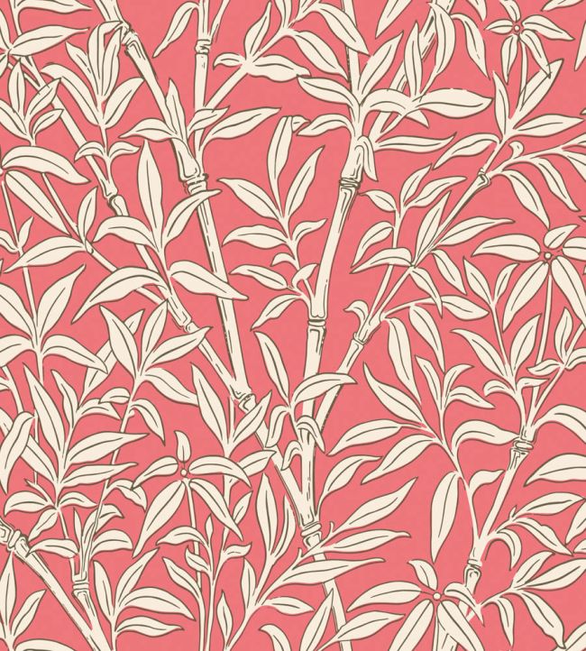 Bamboo Forest Wallpaper by Cole & Son Chalk on Rouge