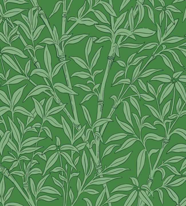 Bamboo Forest Wallpaper by Cole & Son Emerald