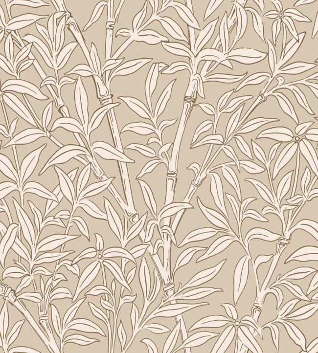 Bamboo Forest Wallpaper by Cole & Son Oat