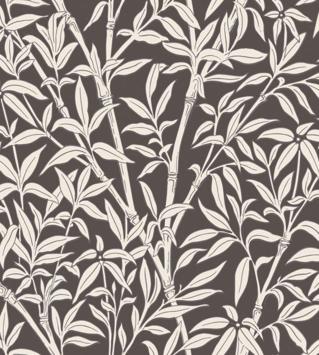 Bamboo Forest Wallpaper by Cole & Son Snow on Soot
