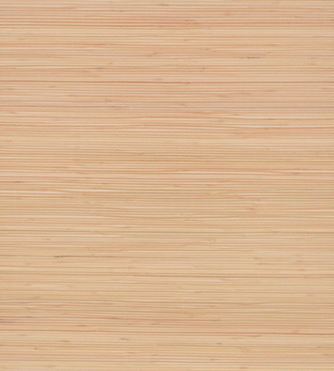Bamboo Wallpaper by Mark Alexander Harvest