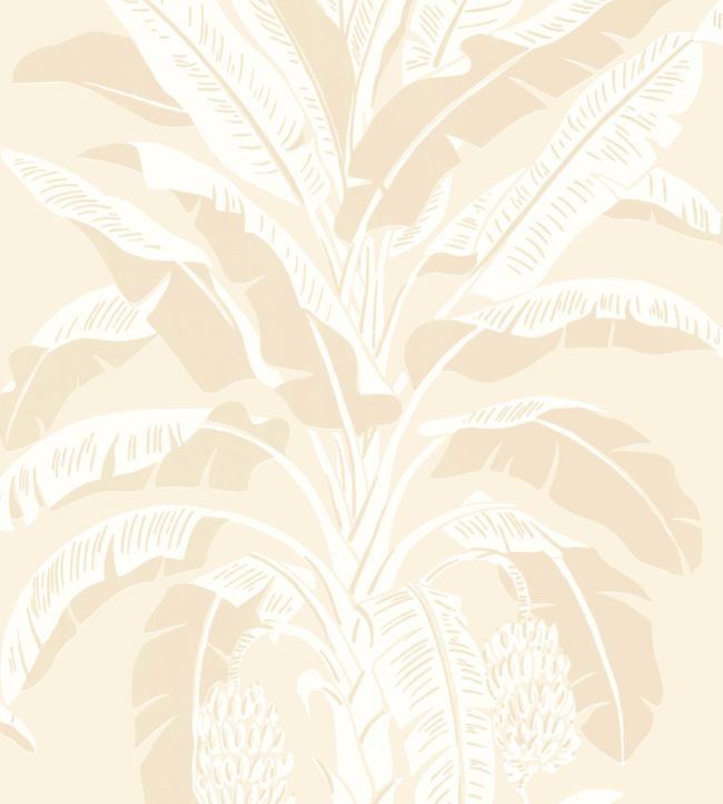 Banana Tree Wallpaper by Thibaut Beige
