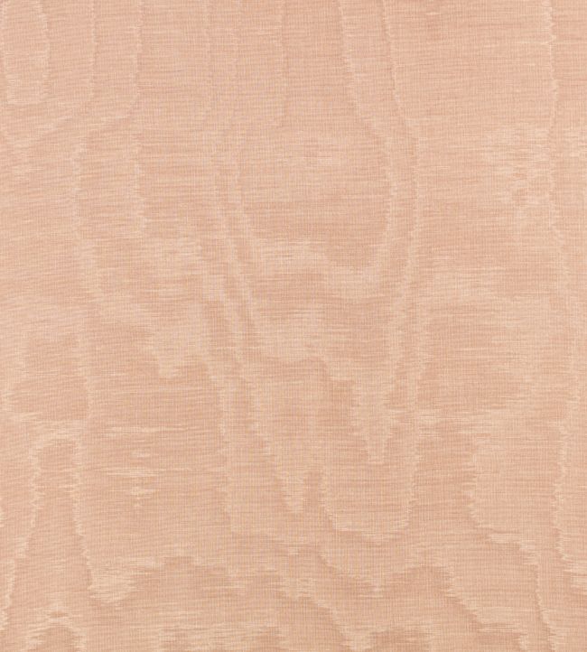 Bandra Fabric by Zinc Blush