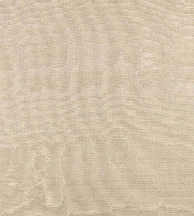 Bandra Fabric by Zinc Shingle