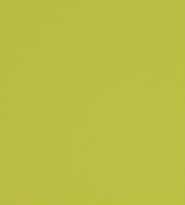 Bantry-Bay Fabric by Warwick Lime