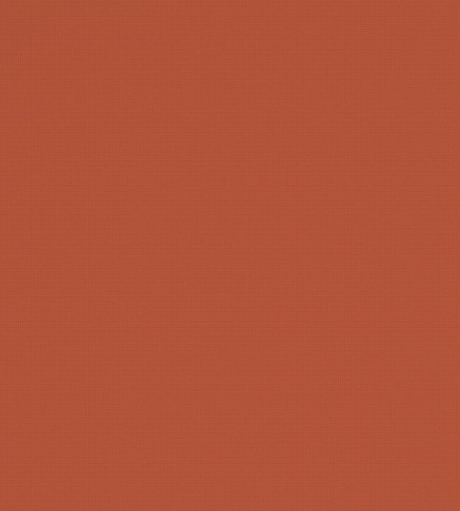 Bantry-Bay Fabric by Warwick Tangerine