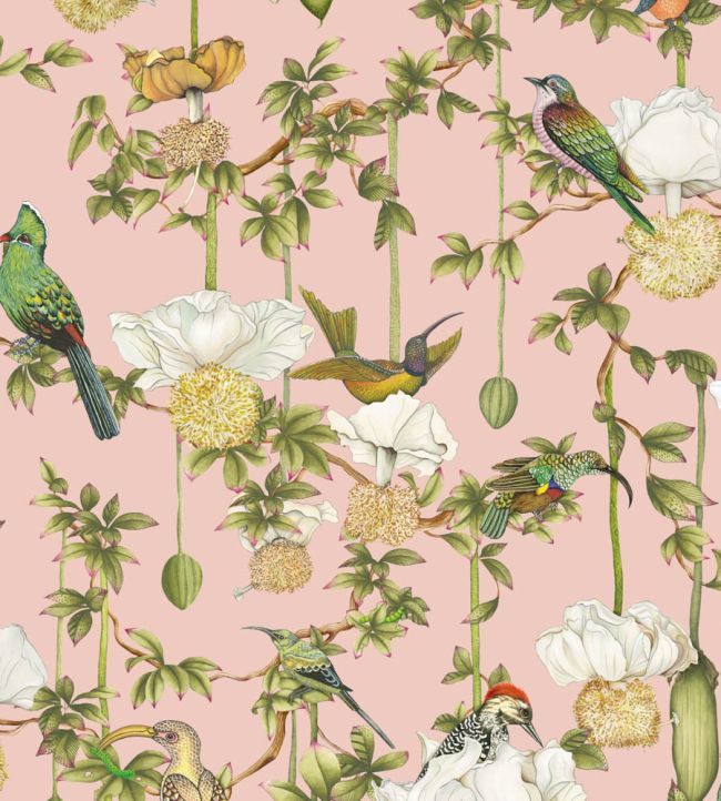 Baobab Botanica Wallpaper by Cole & Son Blush