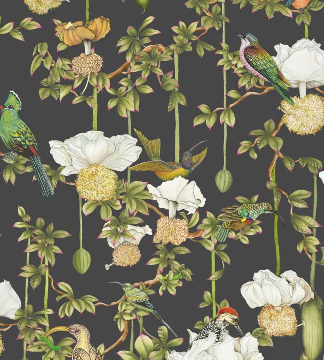 Baobab Botanica Wallpaper by Cole & Son Onyx