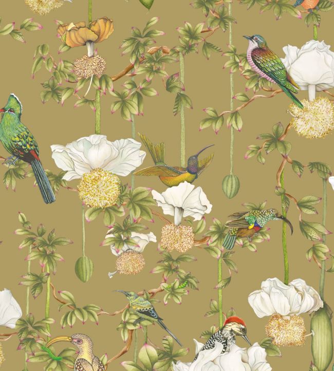 Baobab Botanica Wallpaper by Cole & Son Safari
