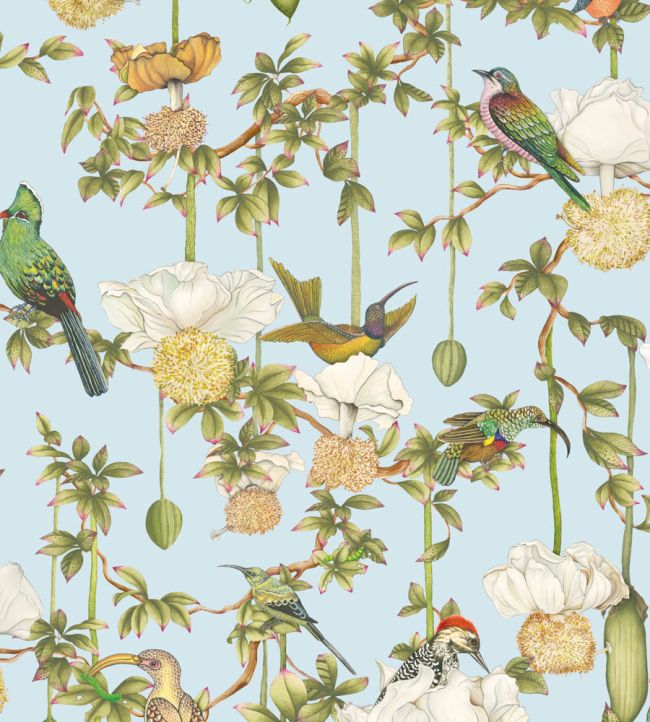 Baobab Botanica Wallpaper by Cole & Son Sky Blue