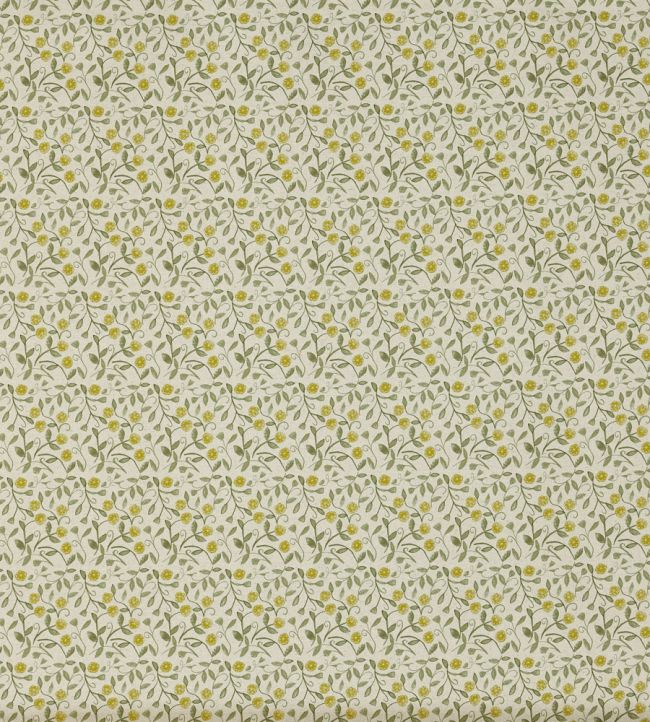 Barbara Fabric by Prestigious Textiles Cucumber