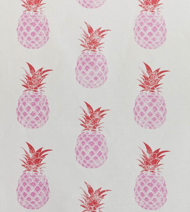 Pineapples Fabric by Barneby Gates Pink On Cream