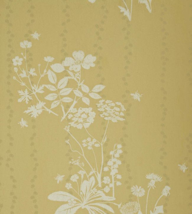 Wild Meadow Wallpaper by Barneby Gates Dandelion