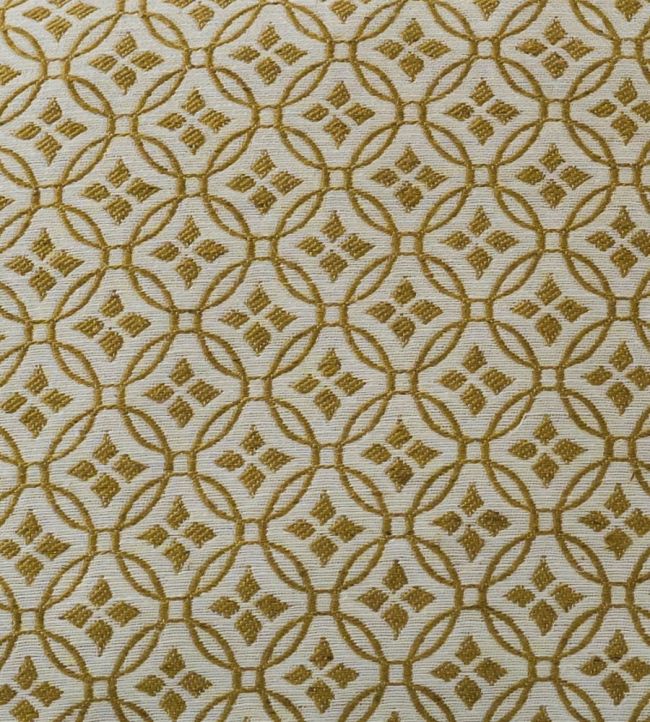 Basilica Fabric by Kate Medlicott Oro