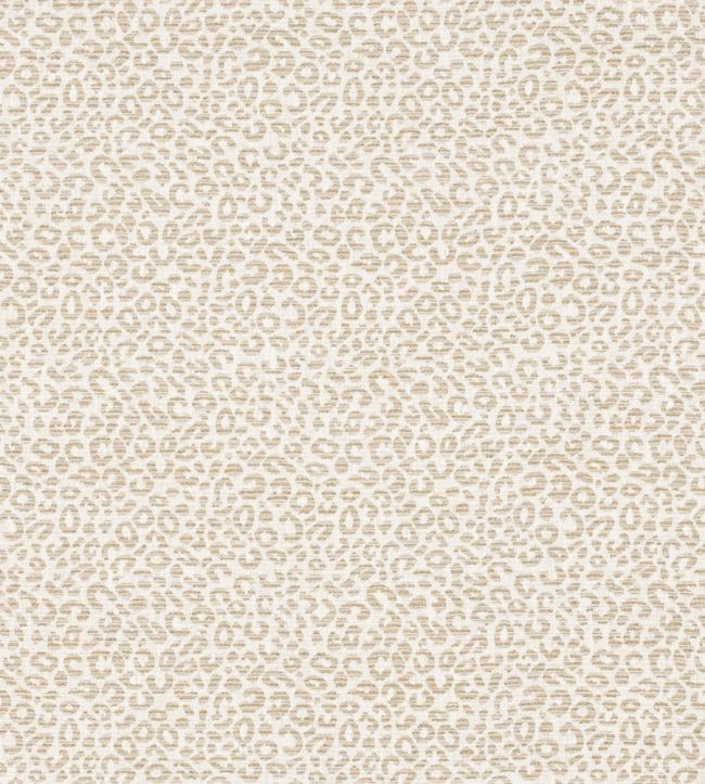 Baxter Fabric by Colefax and Fowler Beige