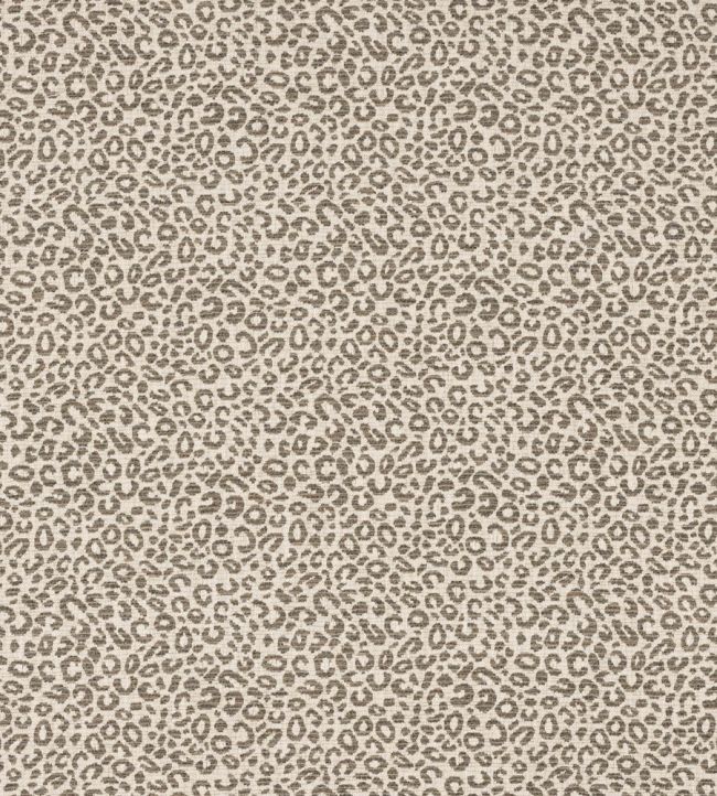 Baxter Fabric by Colefax and Fowler Charcoal