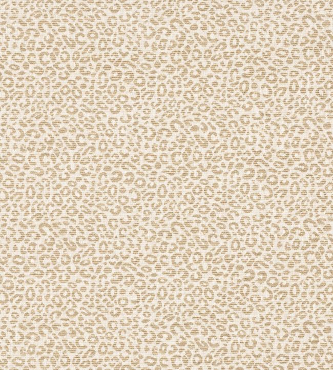 Baxter Fabric by Colefax and Fowler Sand