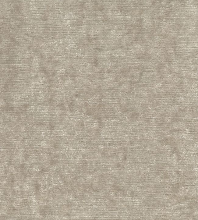 Belvedere Velvet Fabric by Osborne & Little Canvas