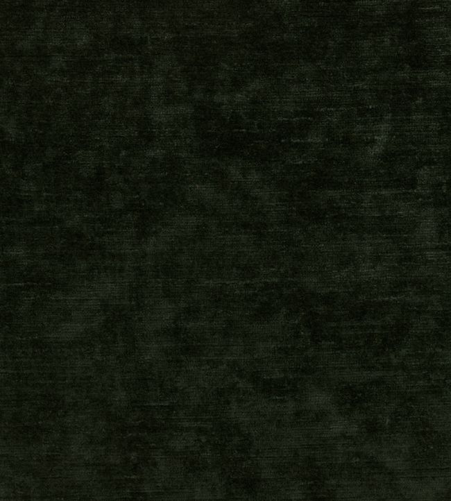 Belvedere Velvet Fabric by Osborne & Little Forest