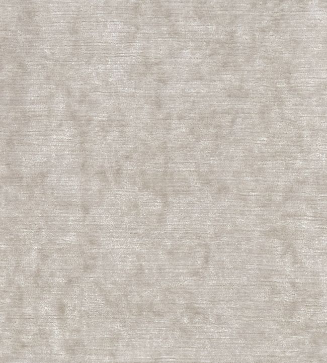Belvedere Velvet Fabric by Osborne & Little Ivory