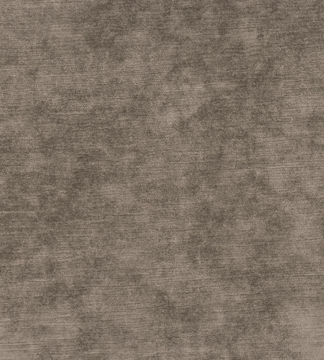Belvedere Velvet Fabric by Osborne & Little Mink
