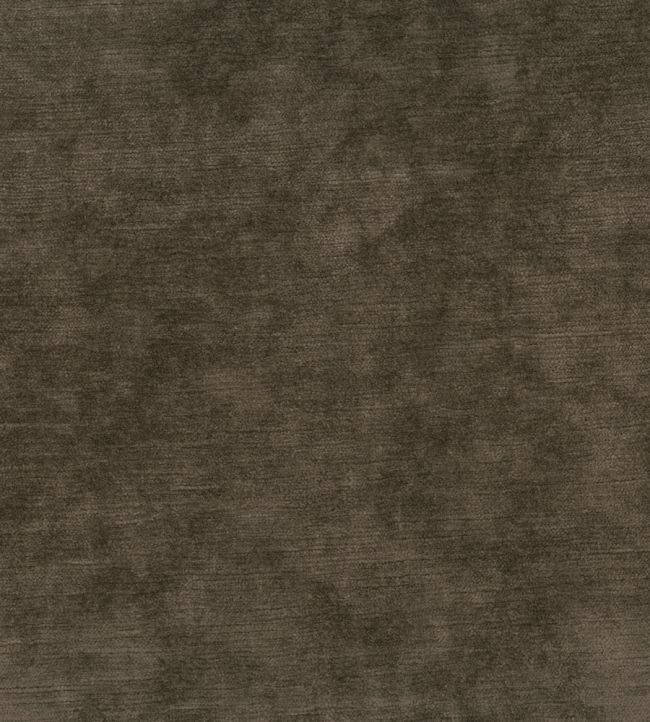 Belvedere Velvet Fabric by Osborne & Little Mocha