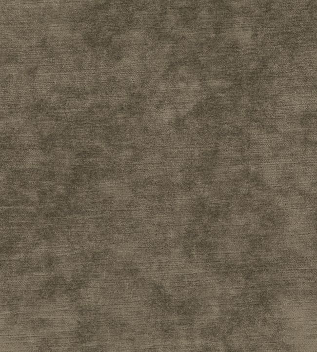 Belvedere Velvet Fabric by Osborne & Little Taupe
