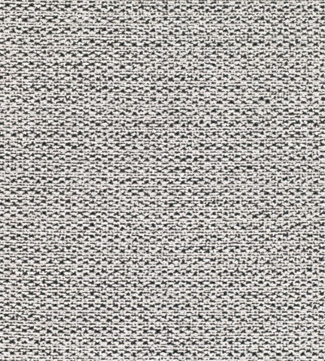 Benetti Fabric by Black Edition Avocet
