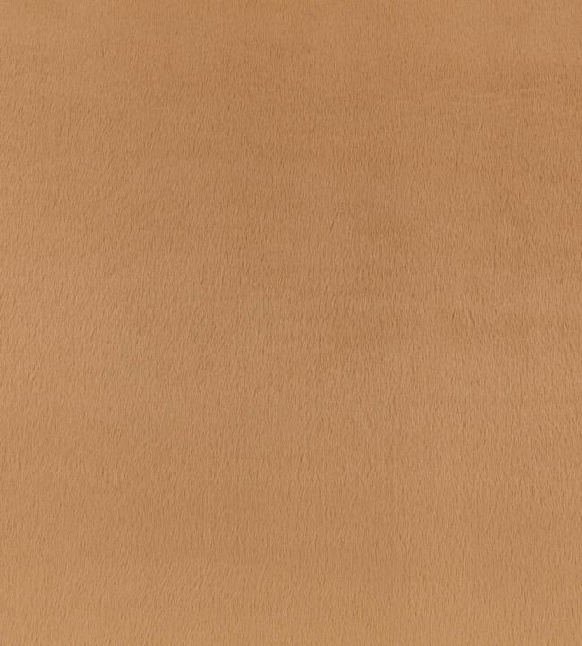 Benjamin Fabric by Zinc Camel