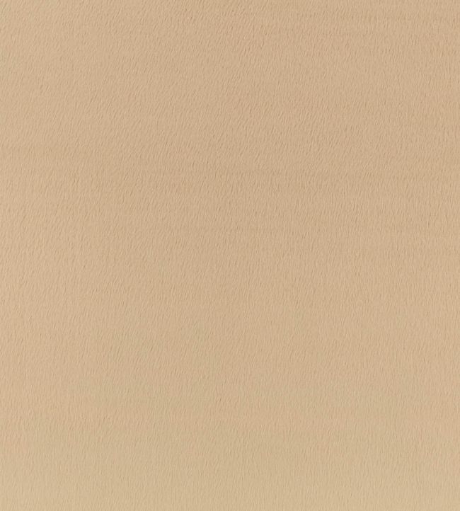 Benjamin Fabric by Zinc Linen