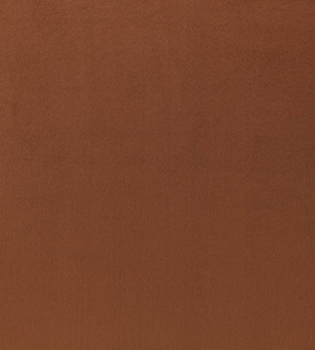 Benjamin Fabric by Zinc Rosewood