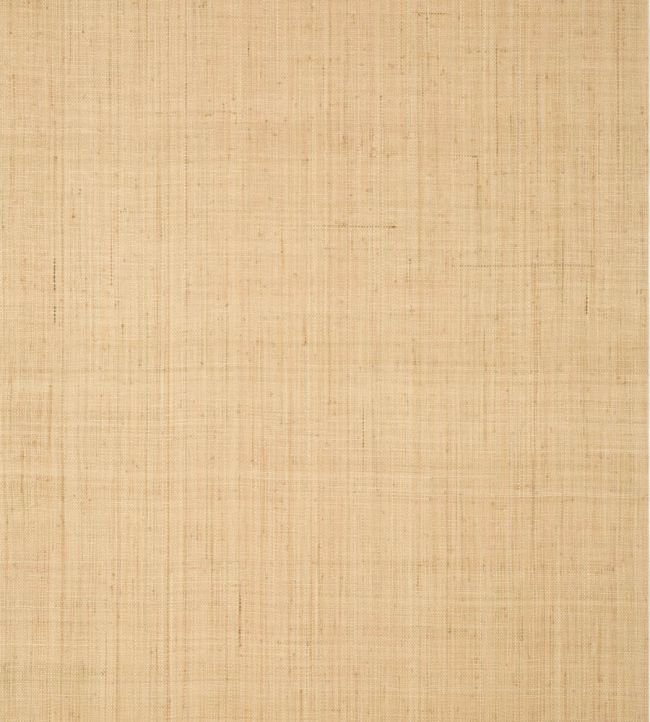 Bethany Raffia Wallpaper by Thibaut Natural