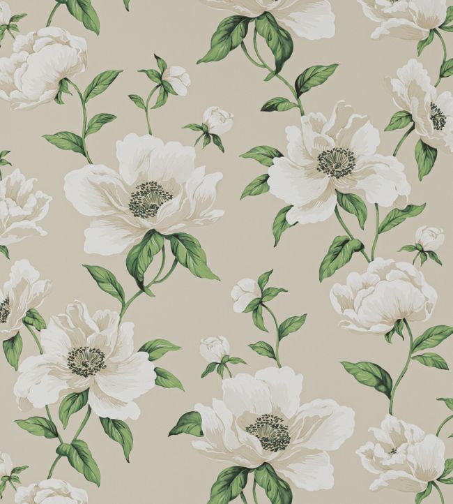 Bianca Wallpaper by Manuel Canovas Nacre