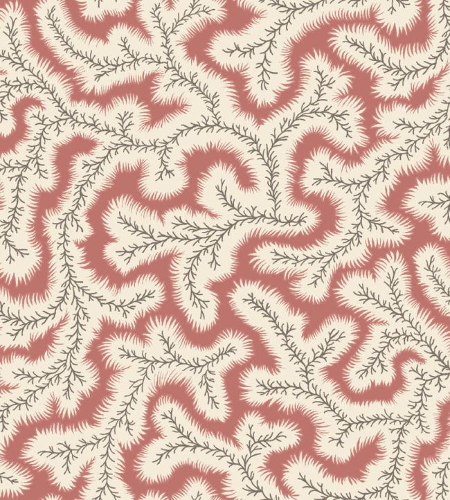 Big Dulcie Wallpaper by Ian Sanderson Coral