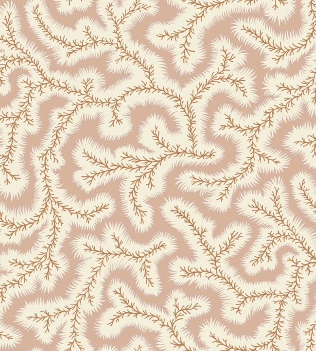 Big Dulcie Wallpaper by Ian Sanderson Shrimp