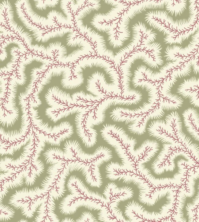 Big Dulcie Wallpaper by Ian Sanderson Sweet Pea
