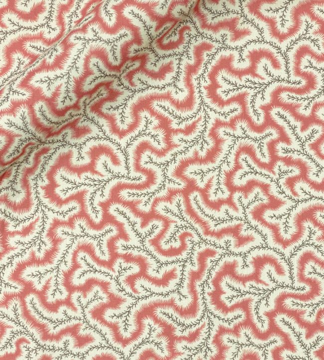 Big Dulcie Linen Fabric by Ian Sanderson Coral