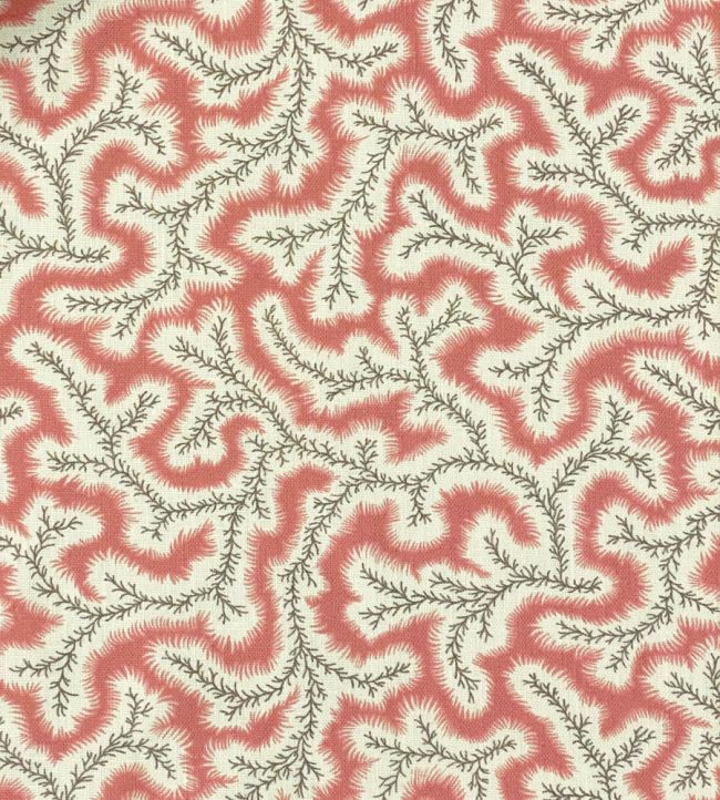 Big Dulcie Linen Fabric by Ian Sanderson Coral