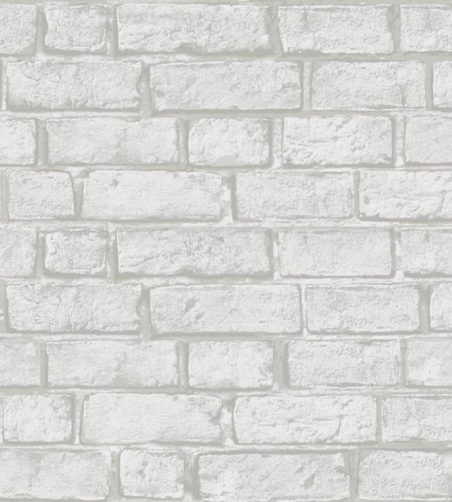 Birk Wallpaper by Borastapeter Grey