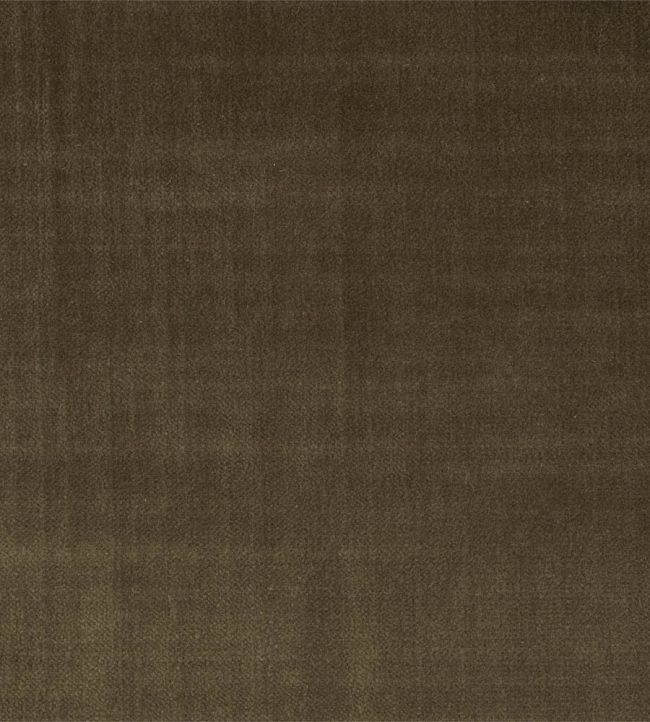 Birodo Fabric by Zoffany Antelope