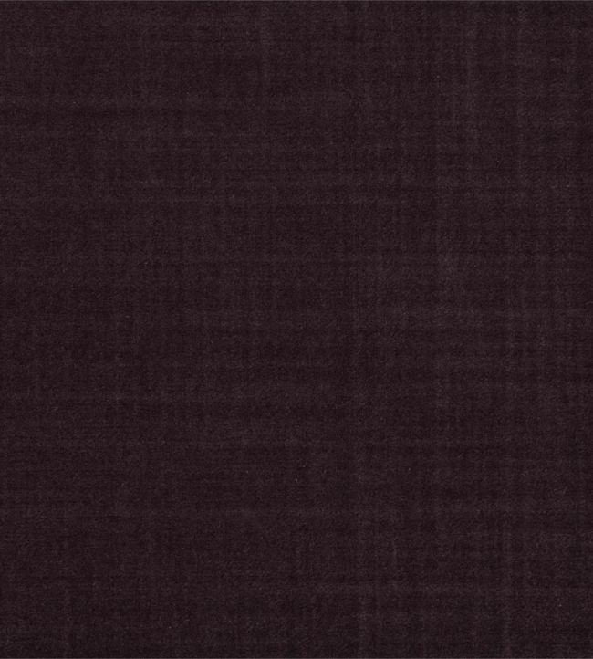 Birodo Fabric by Zoffany Fig