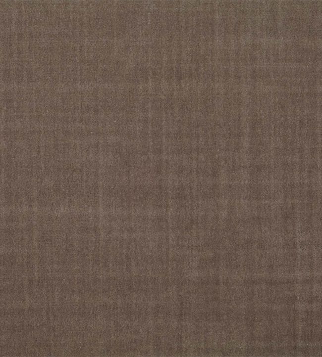 Birodo Fabric by Zoffany Sable