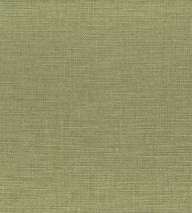 Biseau Fabric by Casamance Olive